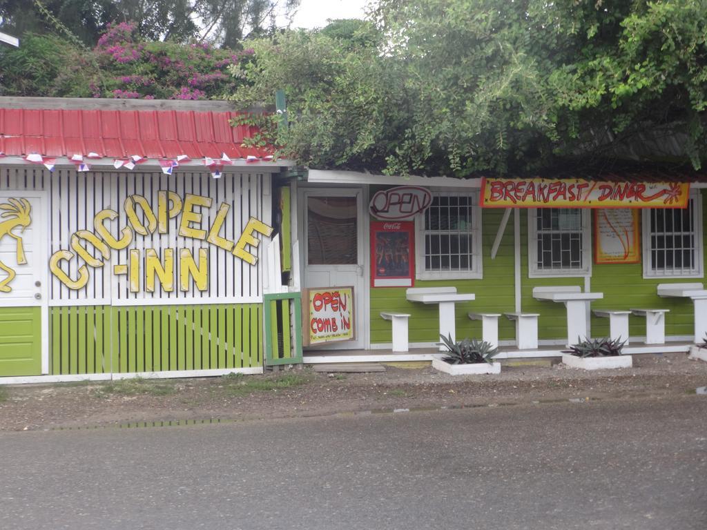 Cocopele Inn San Ignacio Εξωτερικό φωτογραφία