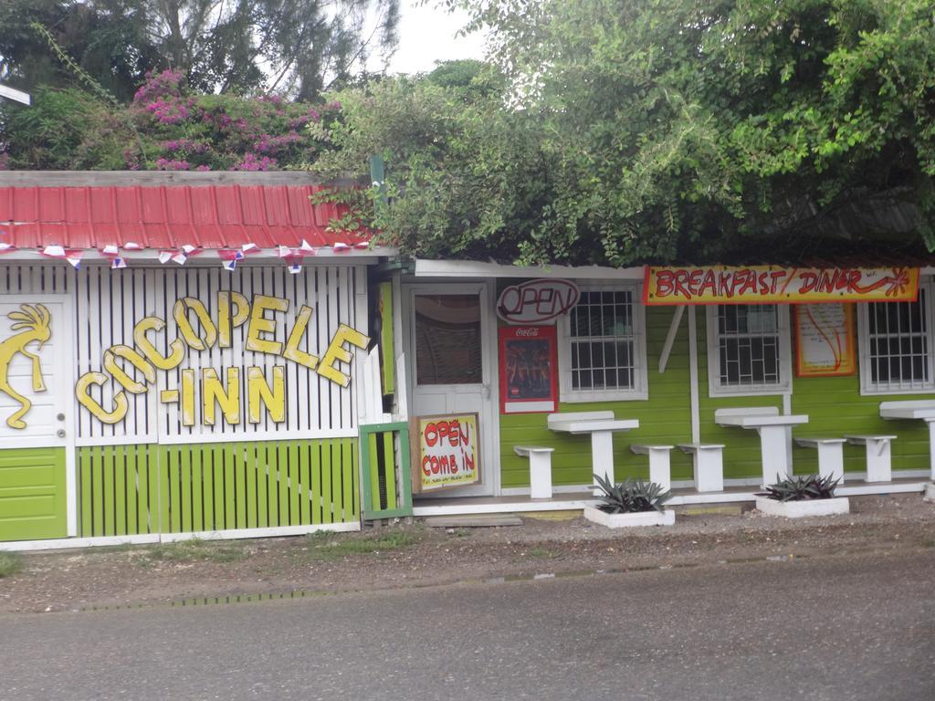 Cocopele Inn San Ignacio Εξωτερικό φωτογραφία