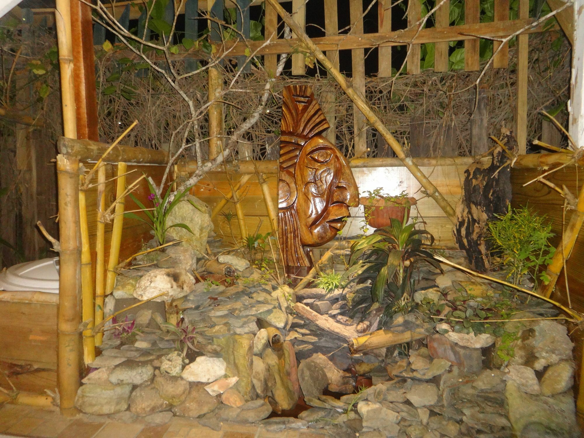 Cocopele Inn San Ignacio Εξωτερικό φωτογραφία